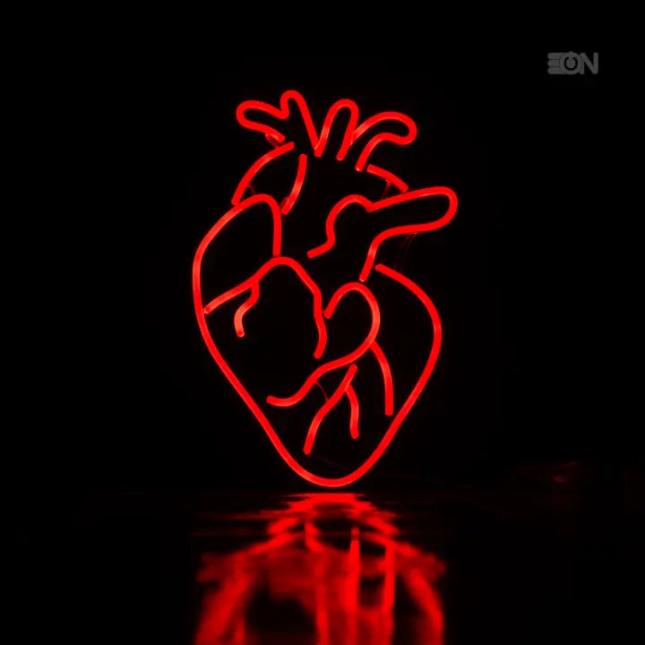 Cuore Anatomico❤️