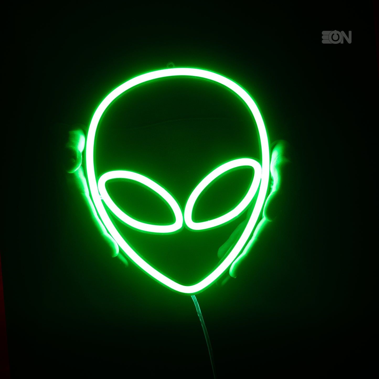 Außerirdischer 👽