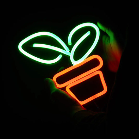 PIANTINA - NON APPASSIRE