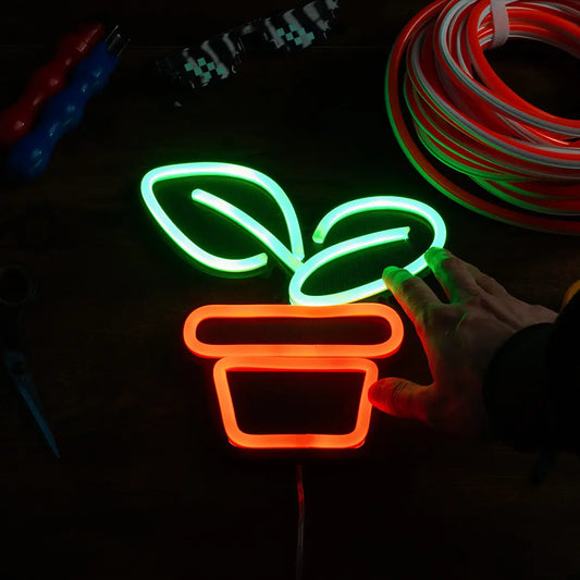 PIANTINA - NON APPASSIRE